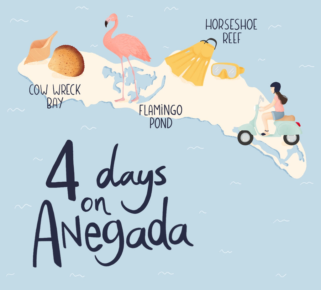 The best things to do travelling on Anegada island in Carribbean